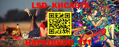 молекула духа Камышлов