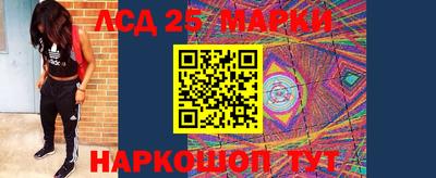 молекула духа Камышлов