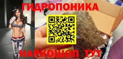 молекула духа Камышлов