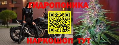 ешки Канаш