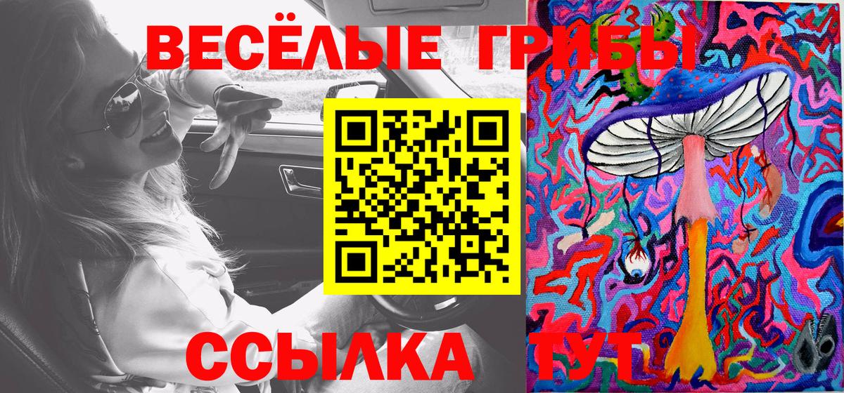 Псилоцибиновые грибы GOLDEN TEACHER  Вход с VPN  Псилоцибиновые грибы Psilocybe  Дубна 